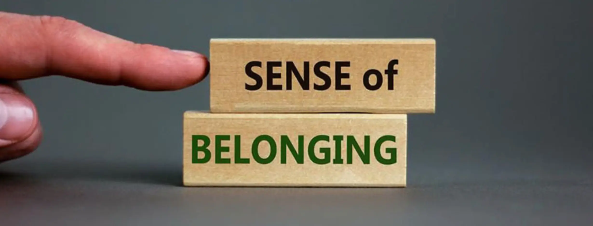 Image for Sense of Belonging